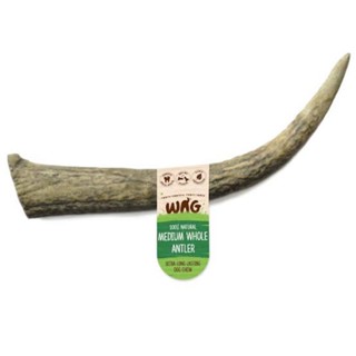 เขากวางไซส์กลาง Whole Medium Antler