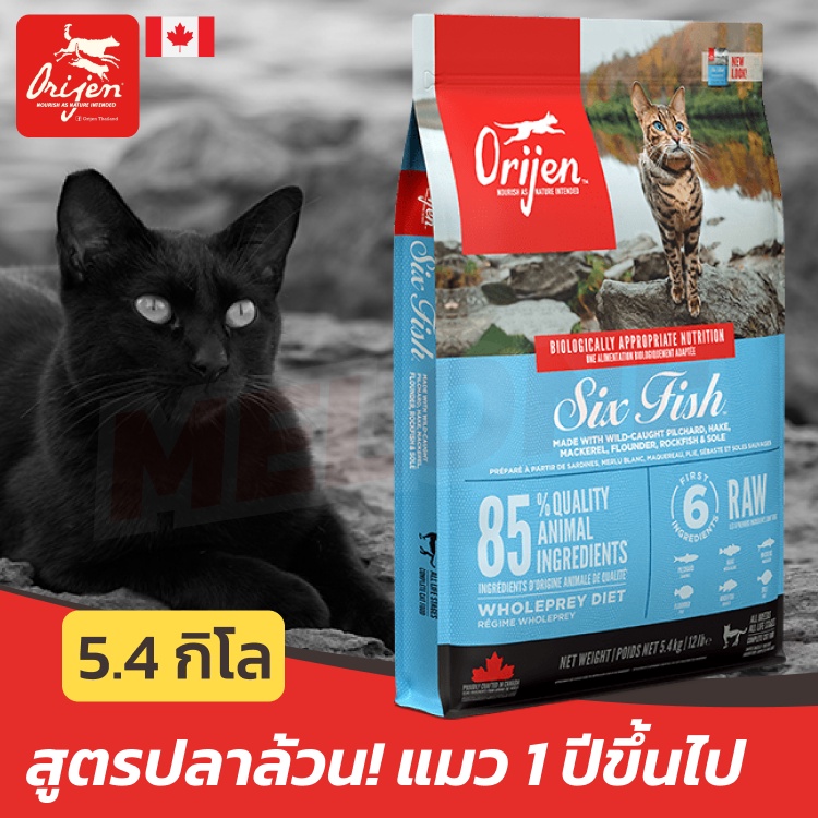 Orijen แมว Six Fish อาหารแมว สูตรปลา 6 ชนิด สำหรับแมวโต อายุ 1ปี ขึ้นไป ขนาด 5.4 kg