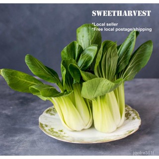 * 480 Perupak Choi สีเขียว (สีเขียว) /Bok Choy/xiaobai Cai เม็ด/ดอกไม้/สวน/ดอกทานตะวัน/ดอกไม้/หัง/ข้าวโพด/ปลาดาว OJ50