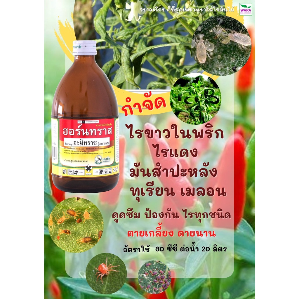 อะมิทราช ฆ่าไรขาวพริก ไรแดงมันสำปะหลัง ไรทุเรียน ไรสองจุด ไรเมล่อน แตงโม ไรตัวแก่ ไรตัวอ่อน ดูดซึม ตายไว ฮอร์น ทราส