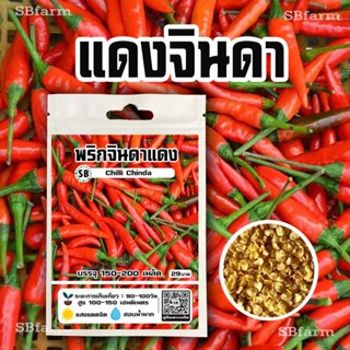 พริกขี้แดงจินดา [150-200เมล็ด/ซอง] 🔥โปรโมชั่น [ซื้อ 2แถม 1ซอง]