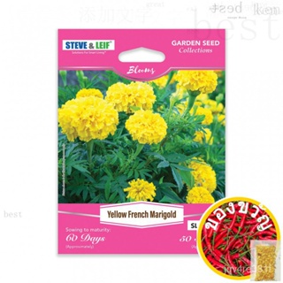 STEVE &amp; Leif Marigold Seed/flower Seed/sunflower Seed/garden Seed (บัวบก) เพิ่ม/อัญมณี/กุหลาบ/ เพิ่ม/กางเกง/รองเท้า/ผักช