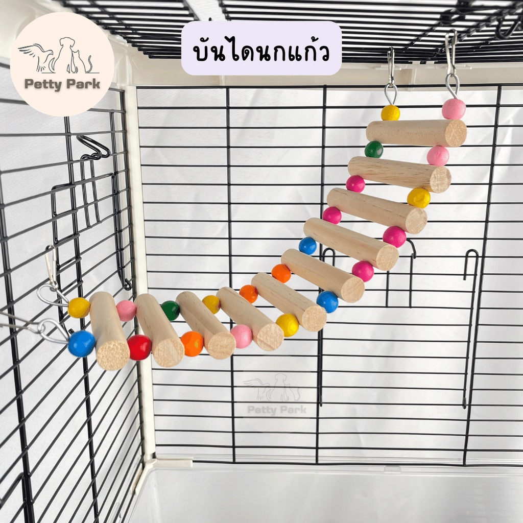 บันได หลากสี 24 cm ของเล่นนก สะพานชิงช้านก สำหรับนกปีนป่ายเล่น นกเลิฟเบิร์ด นกหงส์หยก อุปกรณ์นกแก้ว อุปกรณ์สัตว์เลี้ยง