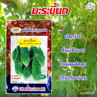 ผลิตภัณฑ์ใหม่ เมล็ดพันธุ์ จุดประเทศไทย ❤เมล็ดมะระขี้นก Native Bitter Gourd  เมล็ดอวบอ้วนมะระขี้นก มะระขี้นก ผัก คล/เ 9QG