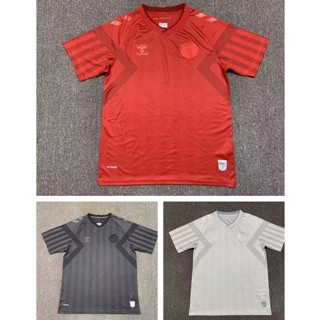 เสื้อกีฬาแขนสั้น ลายทีมชาติฟุตบอล Denmark Home Away 2022-23 ชุดเหย้า ไซซ์ S-2XL