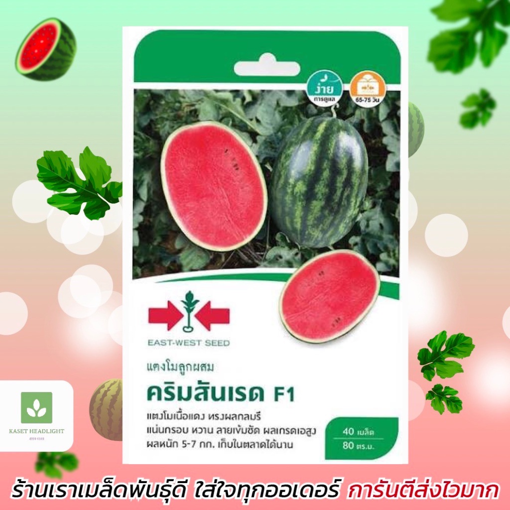 คริมสัน เรด แตงโม ศรแดง 40เมล็ด เมล็ดพันธุ์แตงโม