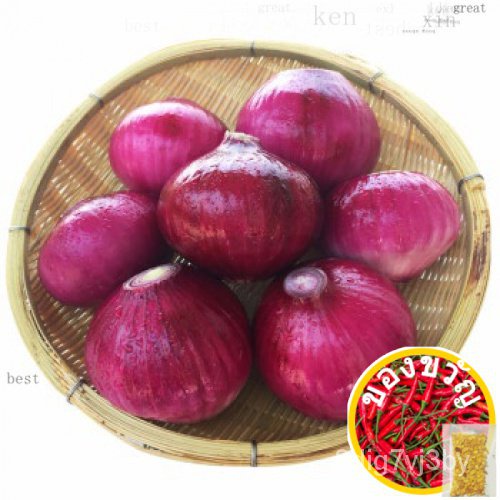 20ก/ก/ก/ก/ด้านบน/ก/ดอกทานตะวัน/ชุด/สั CUEL