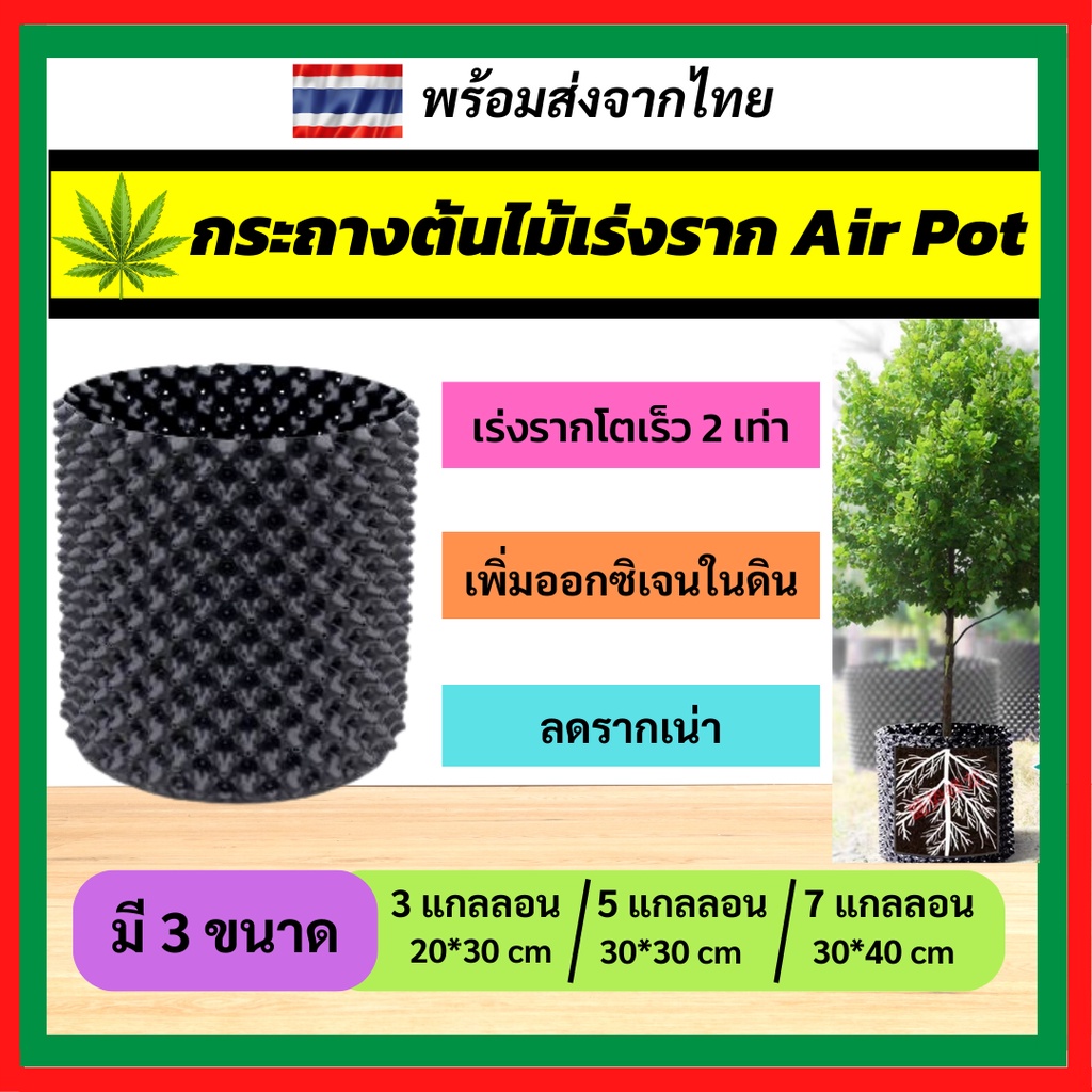 ⚡️พร้อมส่ง⚡️ กระถาง Air Pot กระถางต้นไม้ กระถางต้นไม้พลาสติก เกรด HDPE