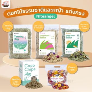 [HiHamster] Niteangle Bedding รองกรง ธรรมชาติ หญ้า Niteangle แอสเพน ไม้แอปเปิ้ล สัตว์เลี้ยง แฮมสเตอร์ เม่นแคระ