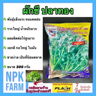 ผักชี พันธุ์พูนผล 300g ตรา ปลาทอง ลอตใหม่ ล่าสุด ต้นอวบ ก้านใหญ่ ใบใหญ่ ออกดอกช้า รากแขนงยาว ใหญ่ ทนฟ้าฝน ตลาดนิยม