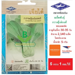 5 ฟรี 1 คละได้ เมล็ดพันธุ์ กวางตุ้งฮ่องเต้  ตรา เจี๋ยไต๋ เมล็ดผัก เมล็ดพืช เมล็ดพันธุ์ผัก เมล็ดพันธุ์พืช