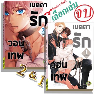 การ์ตูนวาย B7 วอนเทพเมตตารัก เลือก