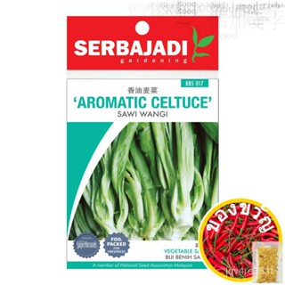 [เมล็ด] BBS 017กลิ่นหอม celtuce เมล็ดผักเมล็ดเมล็ดผักมัสตาร์ดหอม stitu/tinum [เมล็ด] BBS 017กลิ่นหอม celtuce เมล็ดผัก 6Y