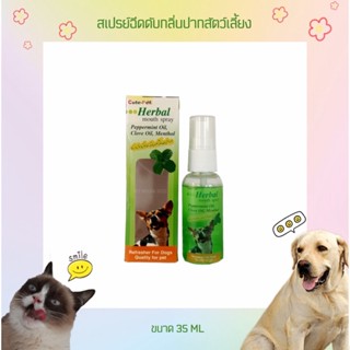 Herbal Mouth Spray สเปรย์ฉีดช่องปากสัตว์เลี้ยง ระงับกลิ่นปาก ขนาด 35 ML