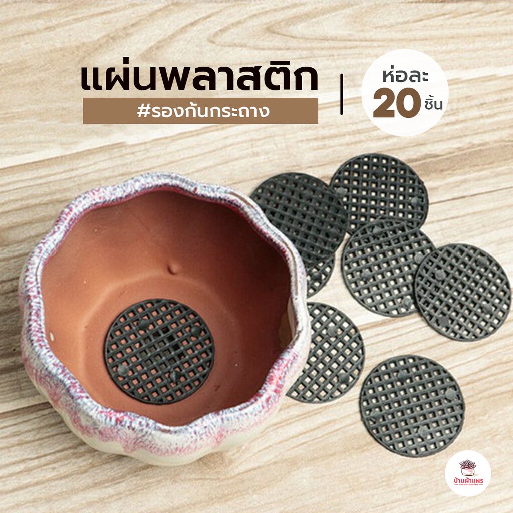 แผ่นพลาสติก รองก้นกระถาง ห่อละ 20 ชิ้น ไม้อวบน้ำ กุหลาบหิน cactus&succulentหลากหลายสายพันธ์ุ