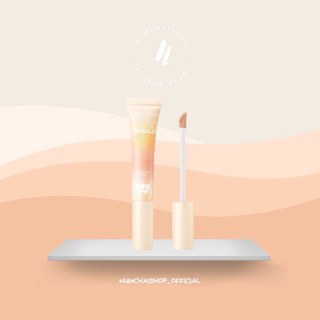 BNB barenbliss Start-Over Concealer | แบร์แอนด์บลิซ สตาร์ต-โอเวอร์ คอนซีลเลอร์ 8 มล.