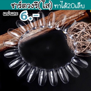 { มี2สี ใส-ขุ่น } ชาร์ตโชว์สีวงรี