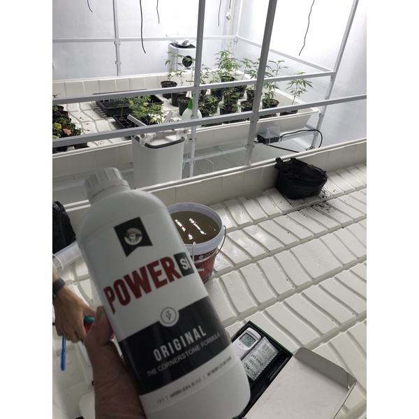 Power Si Original 1L ขวดแท้ 100%