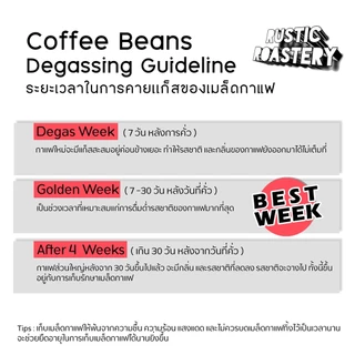 เมล็ดกาแฟคั่วอ่อนปางขอน Anaerobic Yeast Process (ไร่ครอบครัวมะ)100g/200g