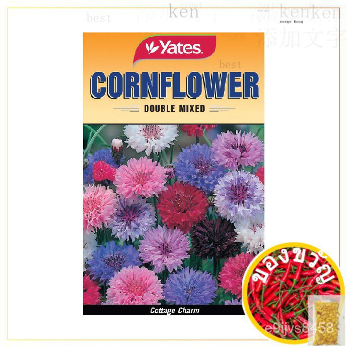 Ypf Cornflower ดับเบิ้ลดับเบิ้ลเบบี้ มะละกอ/หมวก/บ้านและสวน/ของเล่น/ดอกไม้/สร้อยคอ/ตกแต่ง/กางเกง/อัญ