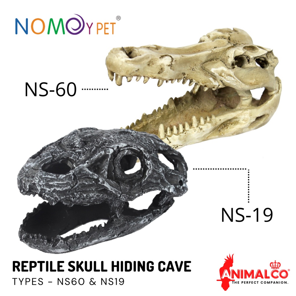 HIDING CAVEE คาเวียร์ซ่อนเปลือกเปลือกไข่ บ้านกระดูกคอเทียม SKULL HIDE SNAKE GECKO SKINK LIZARD