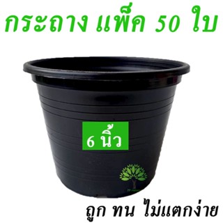 กระถางพลาสติก  ขนาด 6 นิ้ว 50 ใบ กระถางปลูกต้นไม้ กระถางปลูกผัก กระถางต้นไม้ กระถางราคาถูก กระถาง กระถางต้นไม้ กระถางต้น