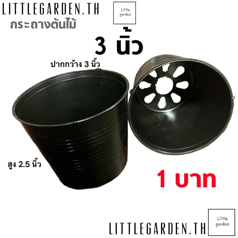 Little กระถางแคคตัส กระถาง 3 นิ้ว 4 นิ้ว 5.5 นิ้ว 6 นิ้ว 8(7.5)นิ้ว