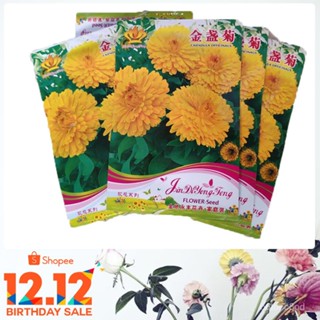 （คุณภาพสูง เมล็ด）English marigold  20เมล็ด/ง่าย ปลูก สวนครัว เมล็ด/ดอก VXUZ