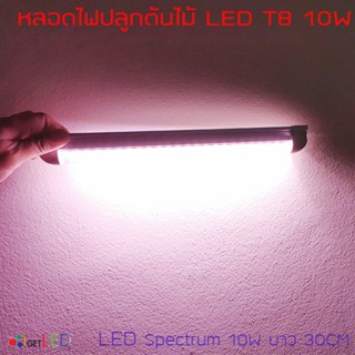 หลอดไฟปลูกต้นไม้ LED T8 10W ยาว 30CM 48 LED Grow Light AC 220V