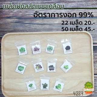 ผลิตภัณฑ์ใหม่ เมล็ดพันธุ์ สปอตสินค้า❤เมล็ดอวบอ้วนผักสลัด ชนิดเคลือบ 22-50 กรีนโอ๊ค เรดโอ๊ค ผักคอส ฟิลเล่ย์ มินิ /ดอก XDP