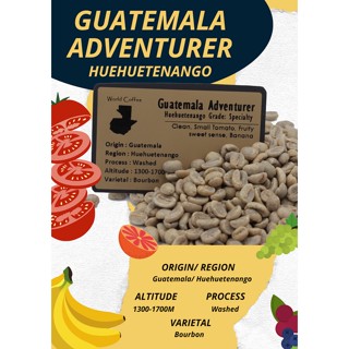 พร้อมส่ง เมล็ดกาแฟดิบ Guatemala Adventurer Huehuetenango washed process/ เมล็ดกาแฟนอก/ เมล็ดกาแฟสารกัวเตมาลา