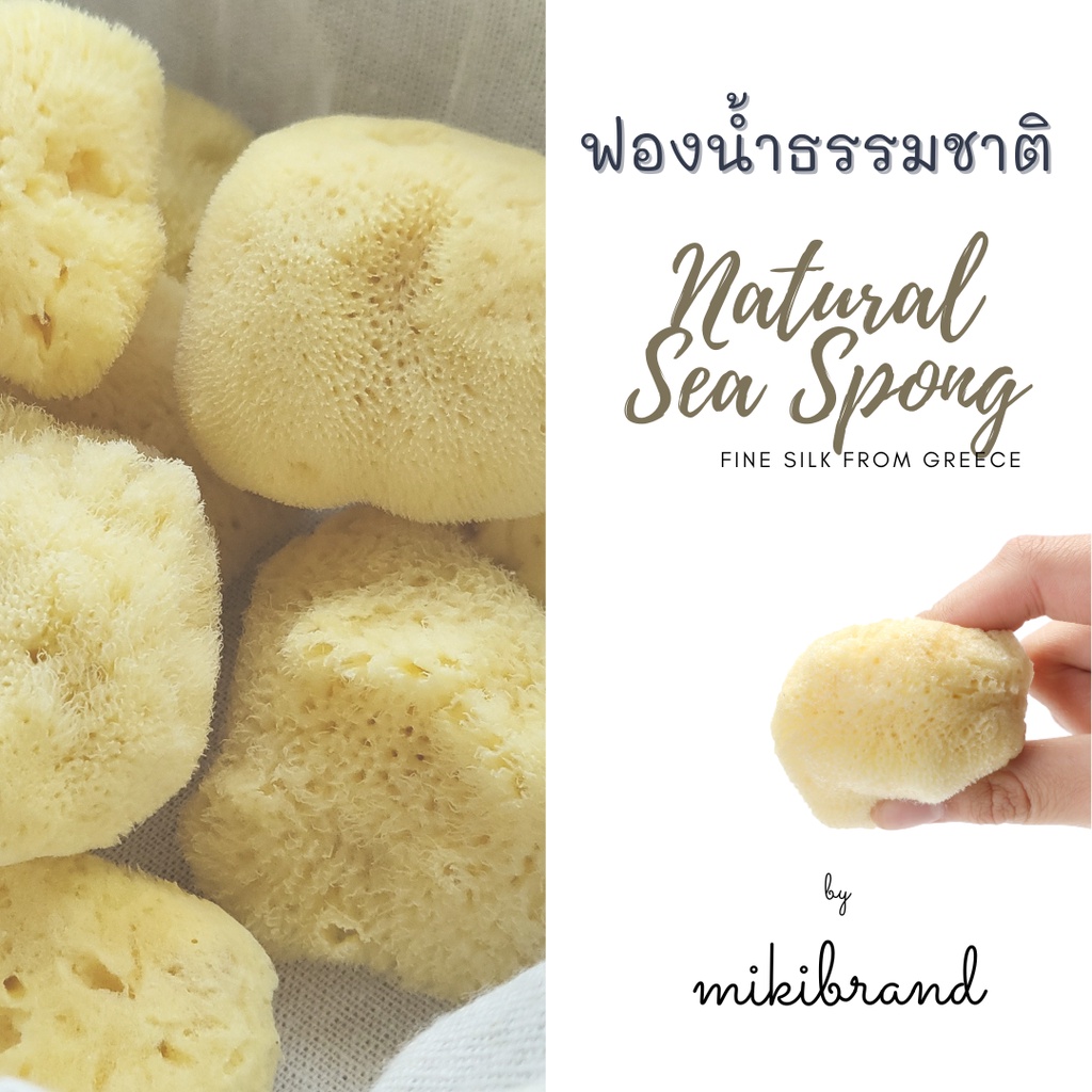 ฟองน้ำธรรมชาติจากทะเล แท้ 100% ใช้อาบน้ำเด็ก หรือล้างหน้าทำความสะอาด นำเข้าจากประเทศกรีซ