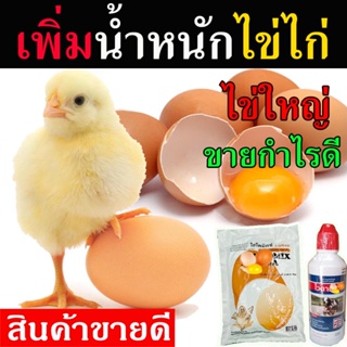 วิตามินบำรุงไข่ไก่ 2 in 1 บำรุงไข่ไก่ เร่งไก่ไข่ ยาเร่งไข่นก ฮอร์โมนไข่ไก่ วิตามินไก่ไข่สูตรเข้มข้น ใช้ในฟาร์ม
