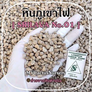 หินภูเขาไฟ ศรีลาวา No.01 หินพัมมิส SRILAVA LOMBOK PUMICE STONE วัสดุปลูกต้นไม้ หินกรองตู้ปลา