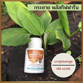 ตรงปก✅กระชายผง250มก.Giffarineกระชายพลัสปลอดภัยทานได้ต่อเนื่อง/รหัส41038/จำนวน1กระปุก(60แคปซูล)🐟Tฮhe