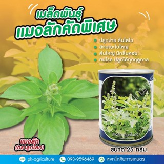 เมล็ดพันธุ์แมงลักคัดพิเศษ (ตราลูกโลก)