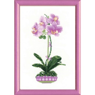 Rio-1163 Lilac Orchid ชุดปักครอสติชลิขสิทธิ์แท้ ครอสติชไม่พิมพ์ลาย แบรนด์ Riolis