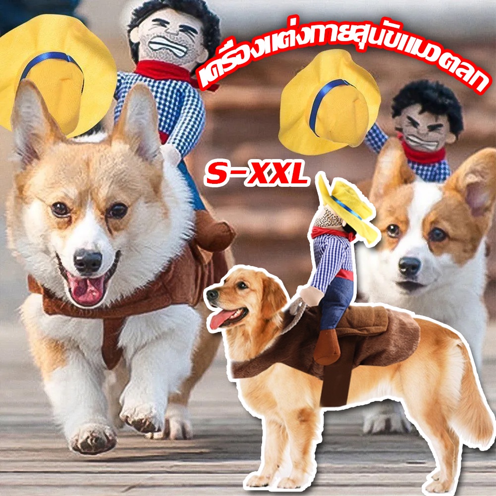 #เสื้อผ้าสัตว์เลี้ยง #สุนัขและแมว #เสื้อผ้าสัตว์เลี้ยงสีสันสดใส #เสื้อผ้าสัตว์เลี้ยงลายน่ารัก #เสื้อผ้าสัตว์เลี้ยงขนาดใหญ่