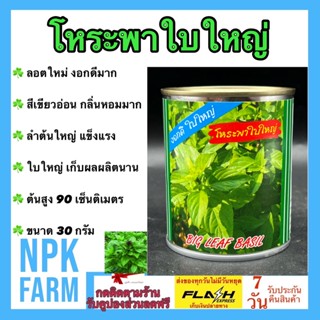 โหระพาใบใหญ่ 30 กรัม ปลาทอง เมล็ดพันธุ์ โหระพา ลอตใหม่ งอกดี ลำต้นแข็งแรง โตไว ใบใหญ่ มีกลิ่นหอมมาก ต้นสูง 80-90 ซม.