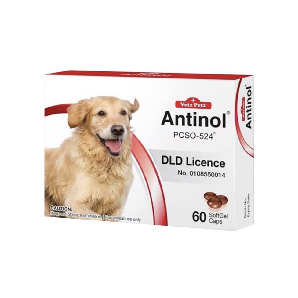 Antinol DOG อาหารเสริมบำรุงข้อสำหรับสุนัข 1กล่อง บรรจุ 60 เม็ด เลขทะเบียนอาหารสัตว์0108550014(รอสินค้า2-3วัน) J1QH