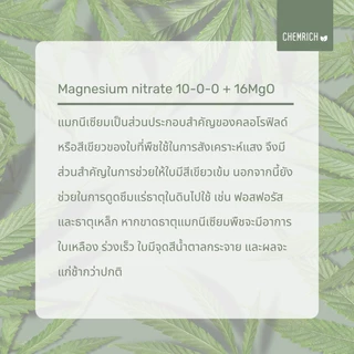 500G/1KG แมกนีเซียมไนเตรท 10-0-0 + 16MgO ปุ๋ยบำรุงใบ / Magnesium nitrate - Chemrich