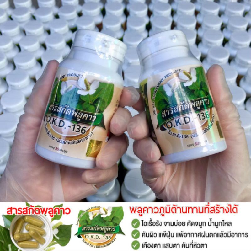 พลูคาวสกัดสูตรเข้มข้น 100% 1 กระปุกมี 30 แคปซูล ช่วยเสริมสร้างภูมิต้านทานให้ร่างกาย