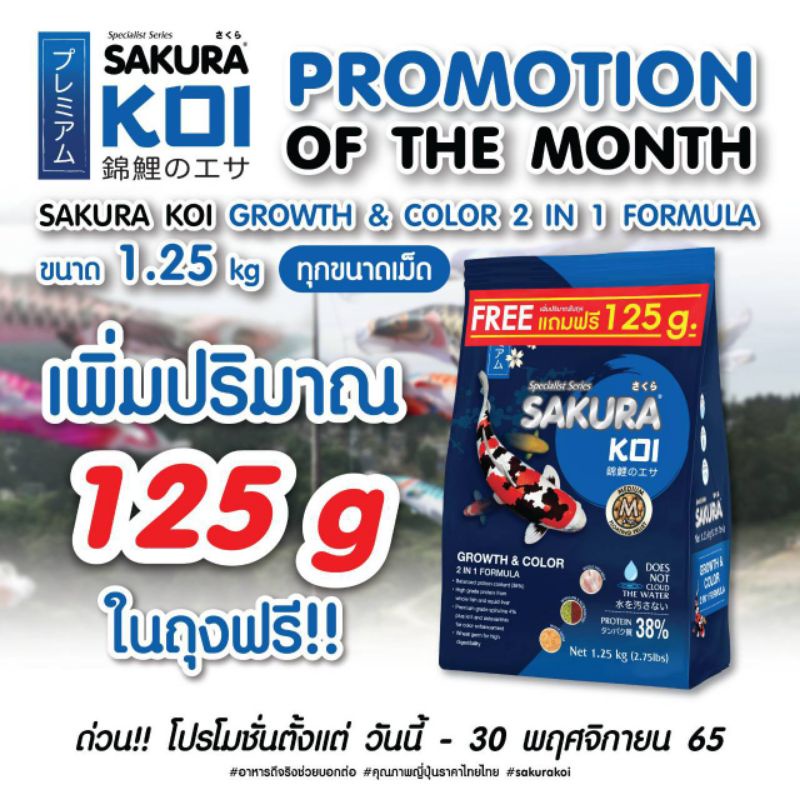 Free‼️125กรัม อาหารปลาคาร์ฟ SAKURA KOI Growth&Color 1.25 kg. (สูตร 2in1 เร่งโต+เร่งสี) ราคา ถูกที่สุด ดีลบีเคเค