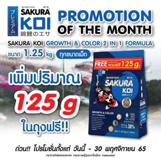 🔥Free‼️125กรัม🔥อาหารปลาคาร์ฟ SAKURA KOI Growth&amp;Color 1.25 kg. (สูตร 2in1 เร่งโต+เร่งสี)