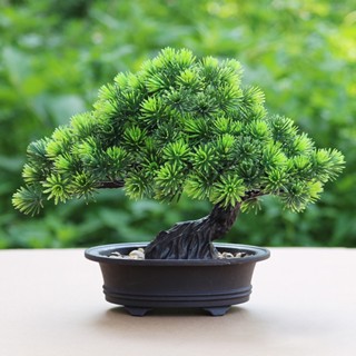 【AG】1Pc Artificial Plant Pine Tree Zen Spirit Party Home Hotel Desk Bonsai Decor