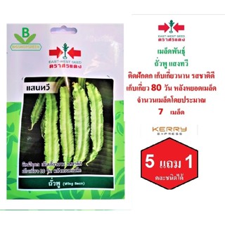 5 ฟรี 1 คละได้ เมล็ดพันธุ์  ถั่วพู แสนทวี ตรา  ศรแดง เมล็ดผัก เมล็ดพันธุ์พืช  เมล็ดพืช  เมล็ดพันธุ์ผัก ผักสวนครัว