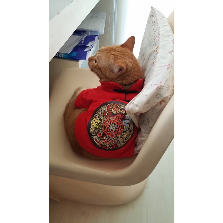 PetSociety เสื้อสุนัข-แมว เสื้อยืดคอจีน แต่งกระดุม ชุดเทศกาลตรุษจีน - รูปที่ 3