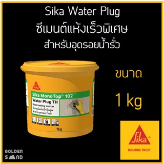 Sika Water Plug  ซีเมนต์แห้งเร็วพิเศษ  สำหรับอุดรอยน้ำรั่ว ขนาด 1 กก.