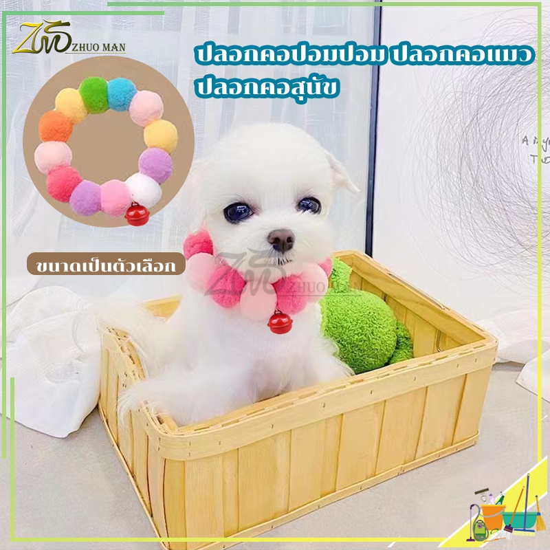 รูปภาพ 4