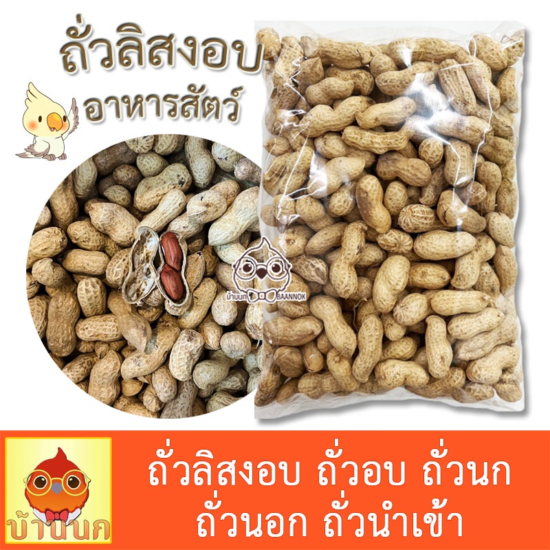 ถั่วนก แบ่งชั่ง ถั่วแห้ง อาหารนก นกแก้ว แฮมสเตอร์ กระรอก สัตว์ฟันแทะ
